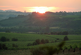 Panorama sulla Val d'Orcia